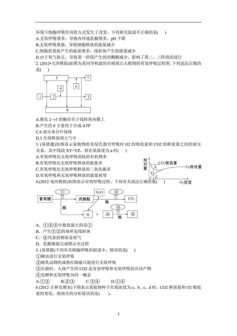 细胞的能量“通货”-ATP及细胞呼吸生物学案.doc_第5页