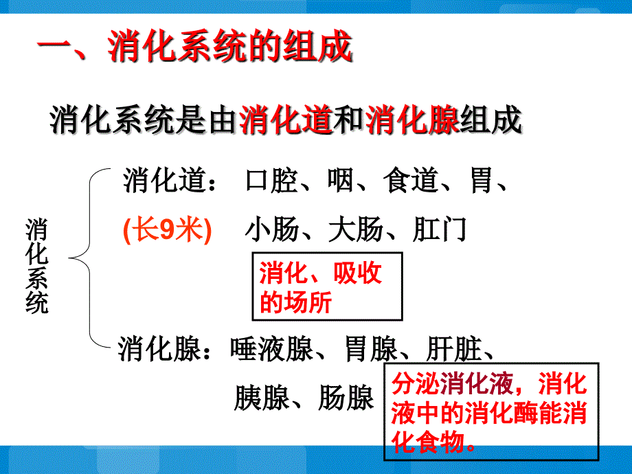 《人体的消化与吸收》参考课件2_第3页