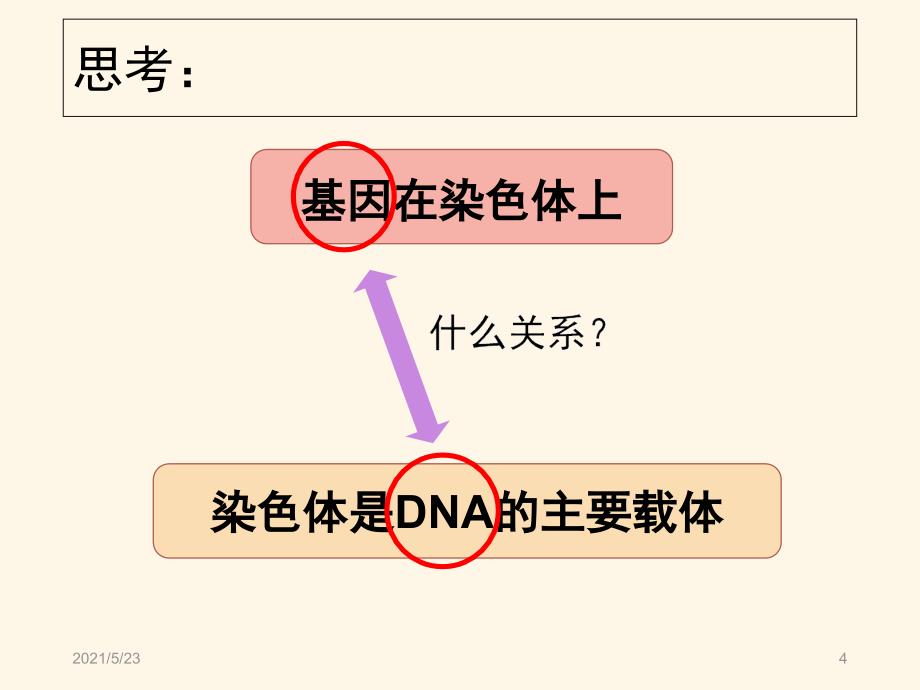 基因是具有遗传效应的DNA片段_第4页