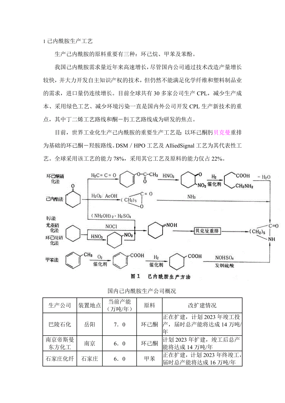 己内酰胺生产工艺删减版.doc_第1页