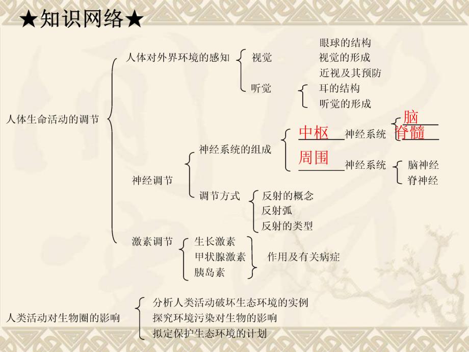 专题复习人体生命活动的调节人类活动对生物圈的影响讲述_第2页