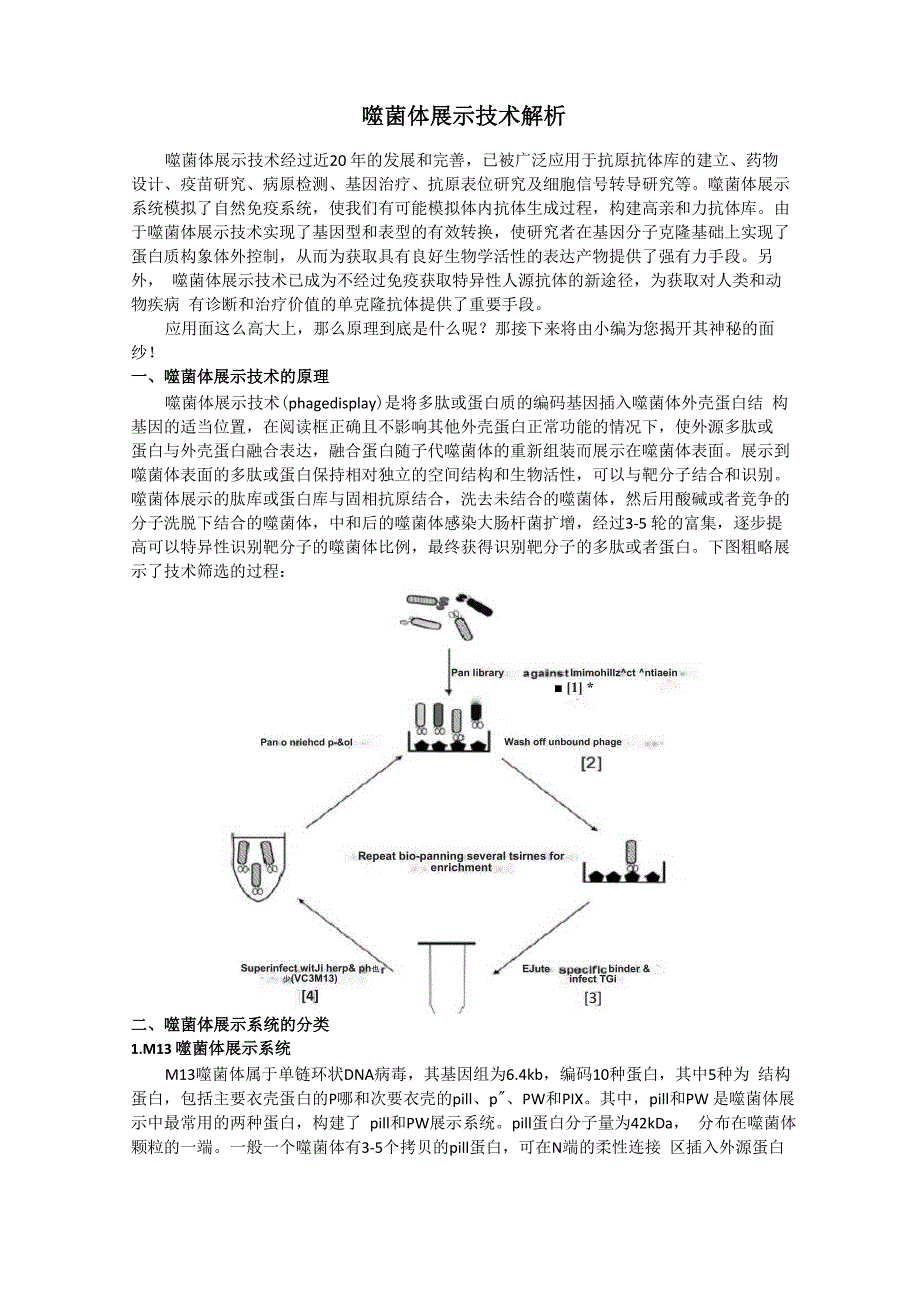 噬菌体展示技术解析_第1页