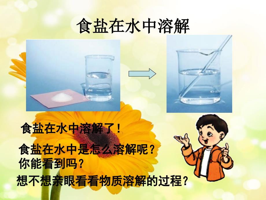 《物质在水中是怎样溶解的》课件_第4页