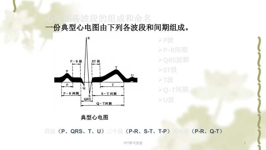 常见急症心电图课件_第5页