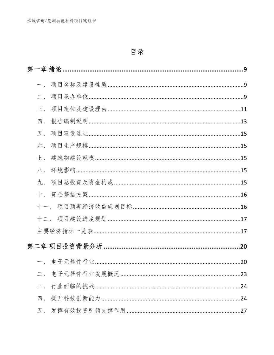 芜湖功能材料项目建议书（模板范本）_第3页