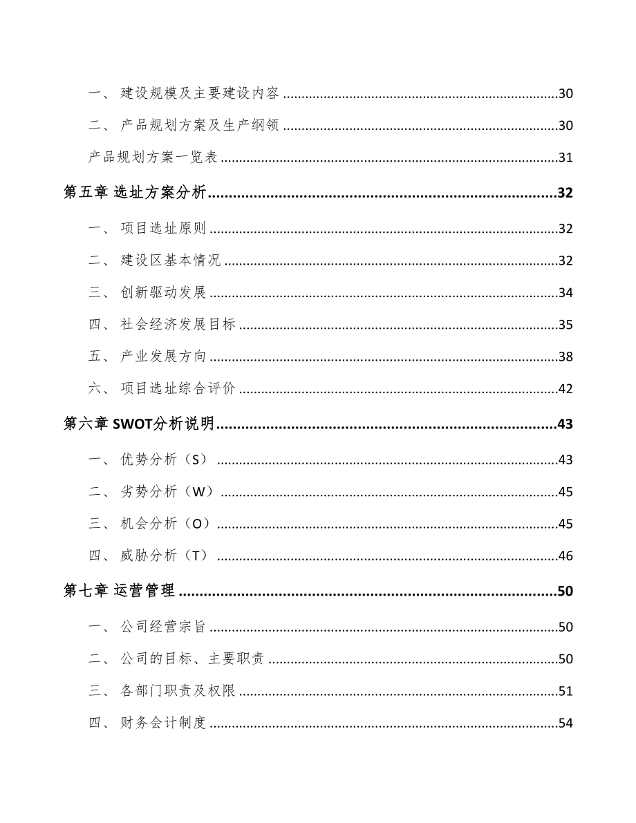 成都娱乐灯光设备项目可行性研究报告(DOC 62页)_第2页