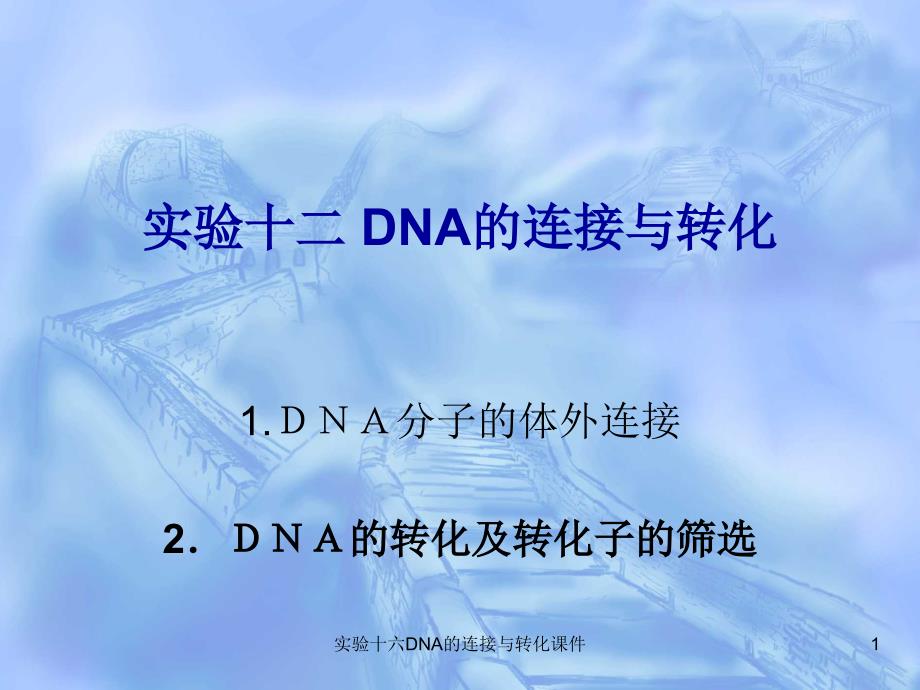 实验十六DNA的连接与转化课件_第1页