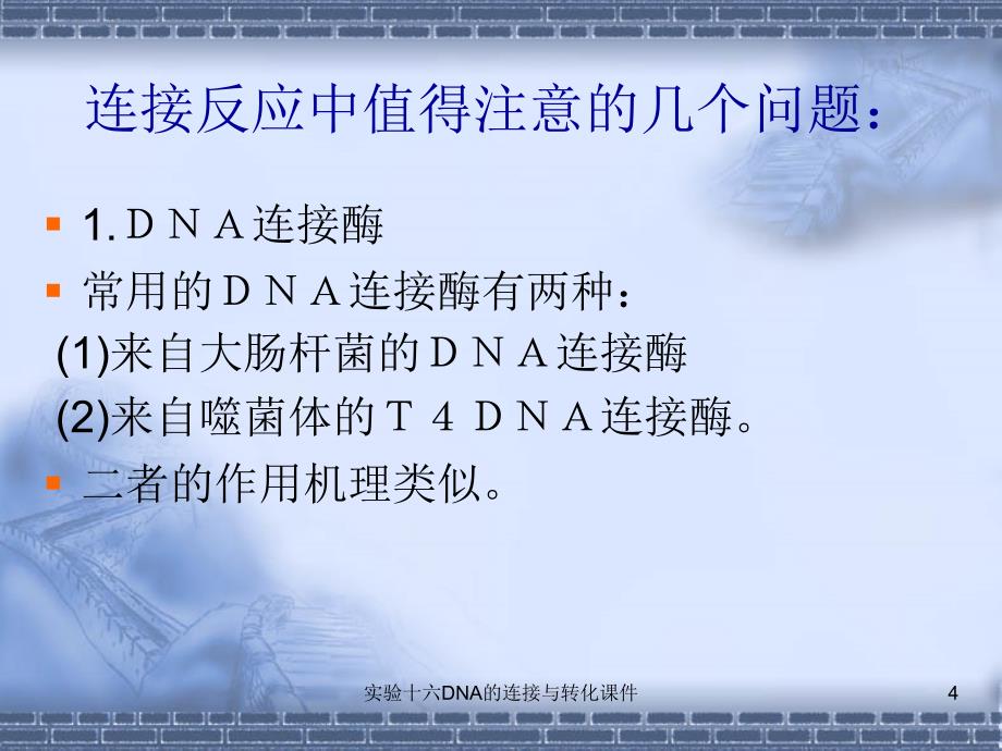 实验十六DNA的连接与转化课件_第4页