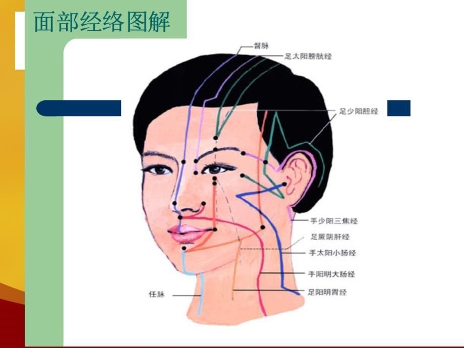 加美90弹力眼雕术ppt课件_第5页