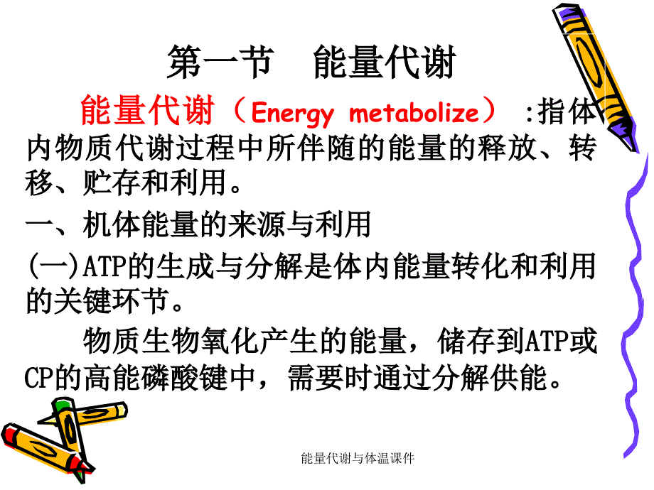 能量代谢与体温课件_第2页