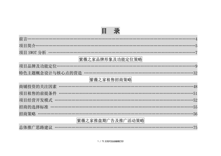 紫微之家营销策划方案_第2页