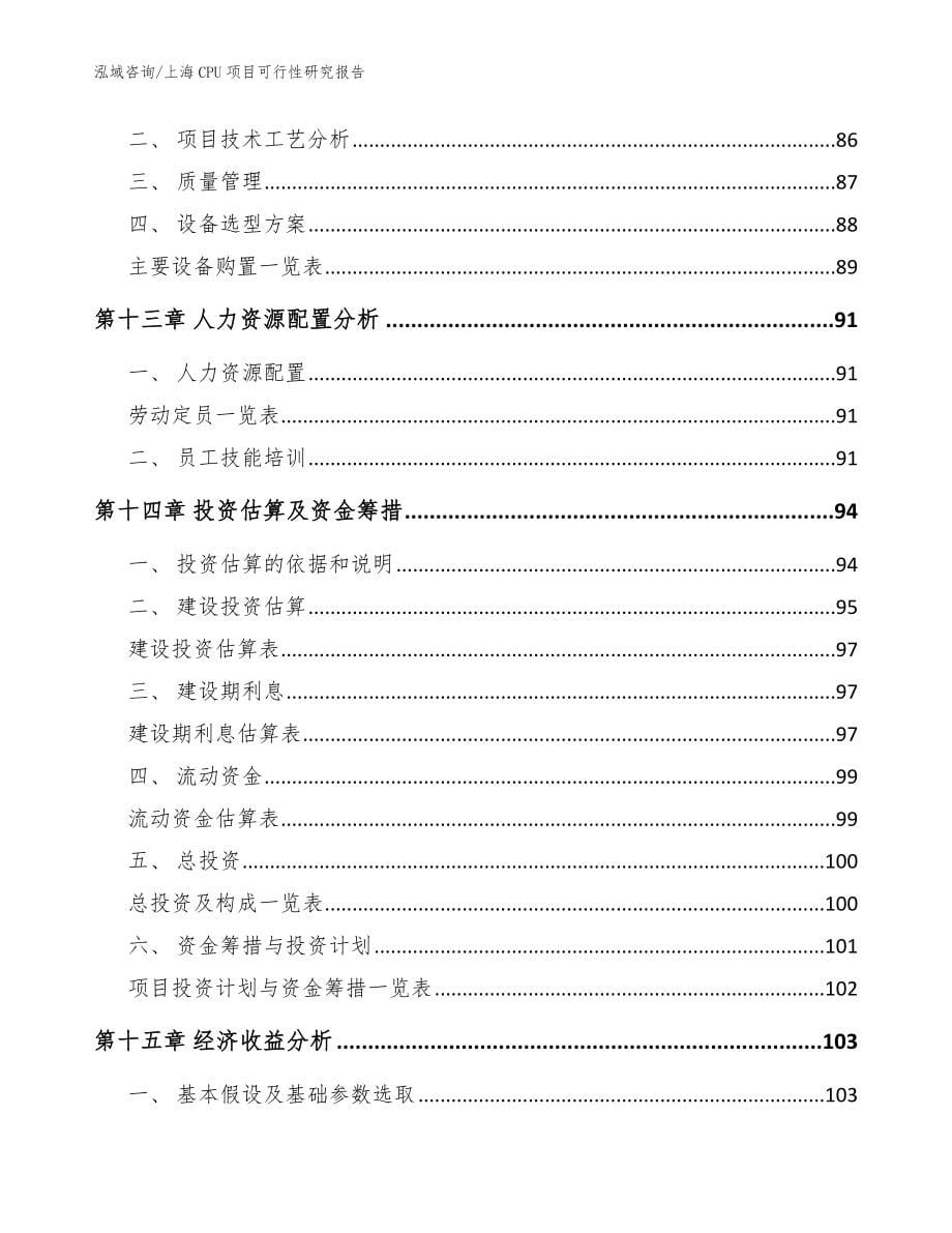上海CPU项目可行性研究报告（范文模板）_第5页