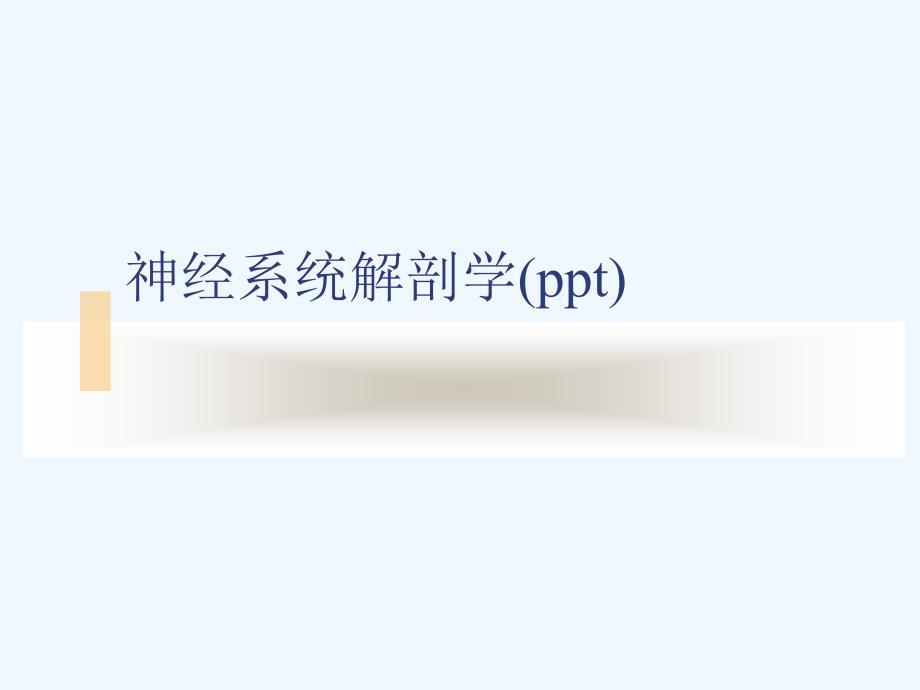 神经系统解剖学ppt课件_第1页