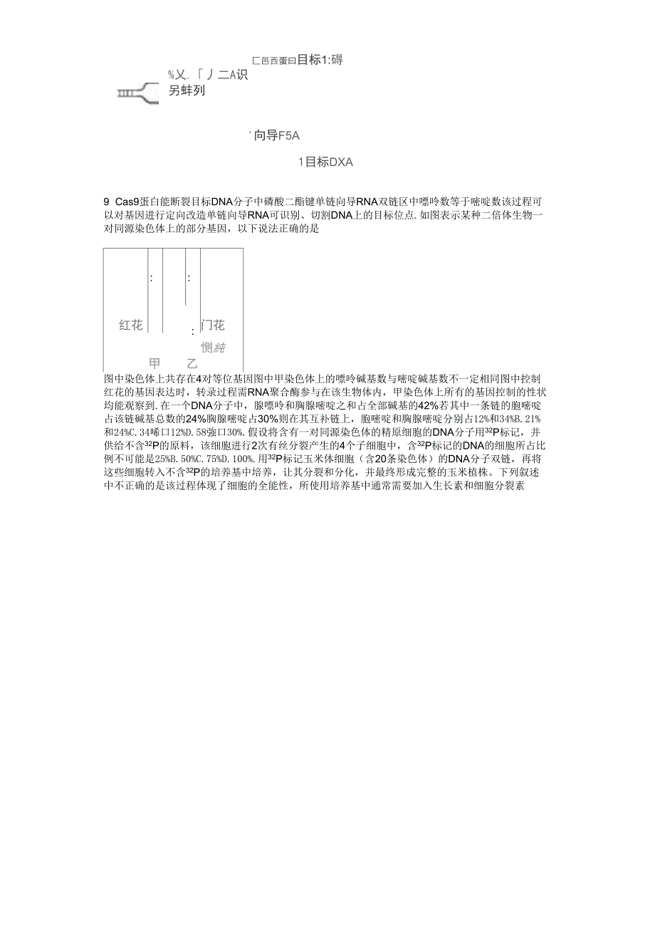 6练习分子遗传6_第2页