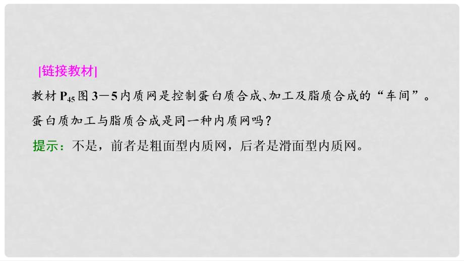 高考生物大一轮复习 第二单元 细胞的结构与物质的输入和输出 第2讲 细胞器与生物膜系统课件_第4页