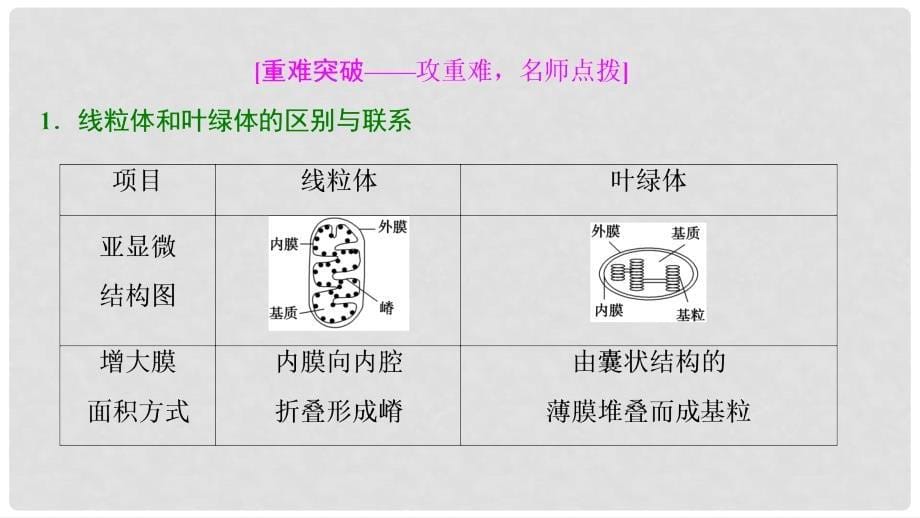 高考生物大一轮复习 第二单元 细胞的结构与物质的输入和输出 第2讲 细胞器与生物膜系统课件_第5页