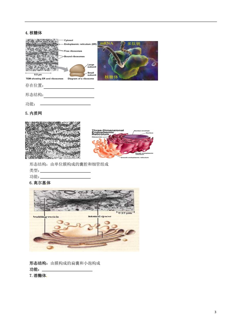 高中物理 细胞的结构（细胞细胞质和细胞核）素材 新人教版必修1_第3页