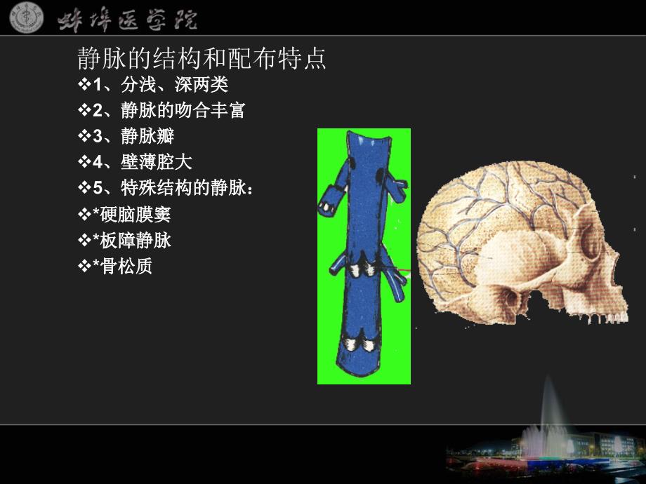 多媒体教学系列课件之_第2页