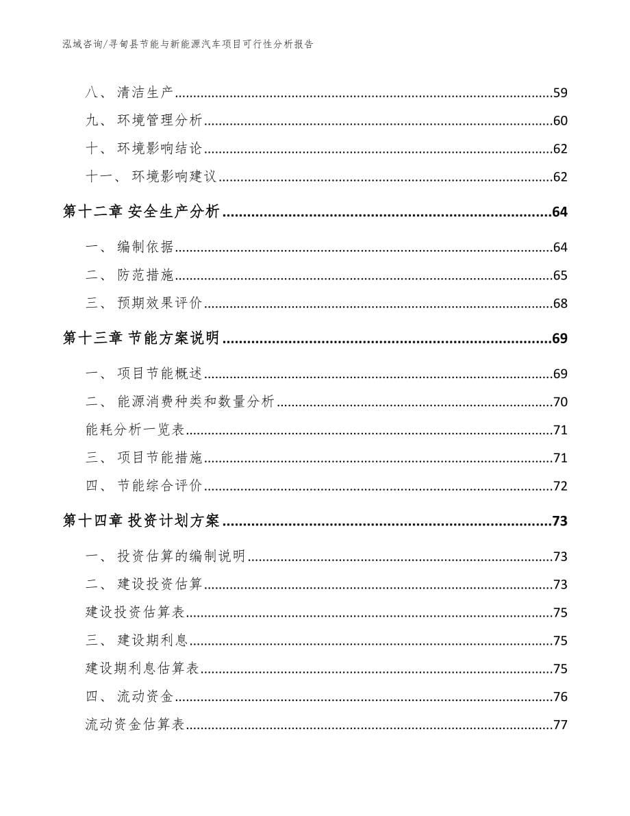 寻甸县节能与新能源汽车项目可行性分析报告_第5页