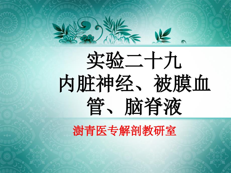 实验二十九内脏神经、被膜血管、脑脊液_第1页