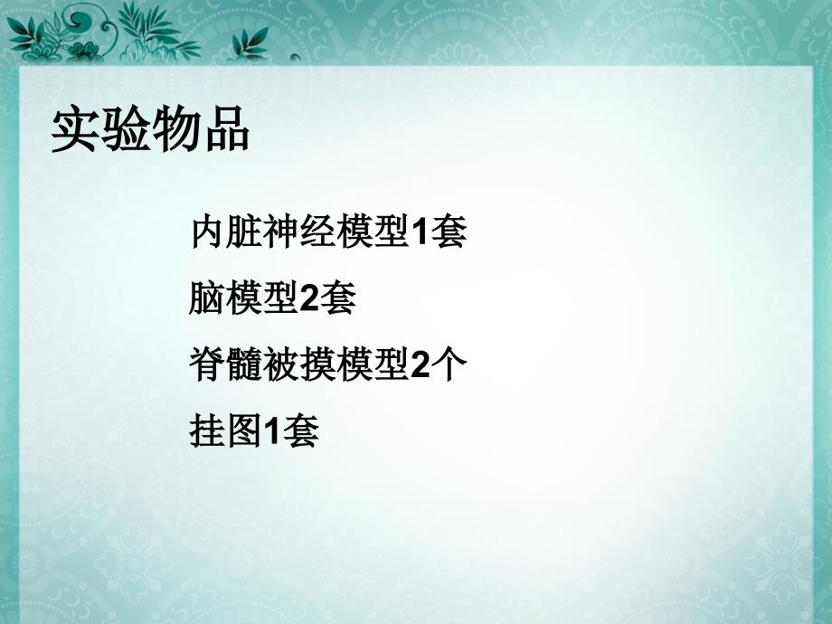 实验二十九内脏神经、被膜血管、脑脊液_第2页