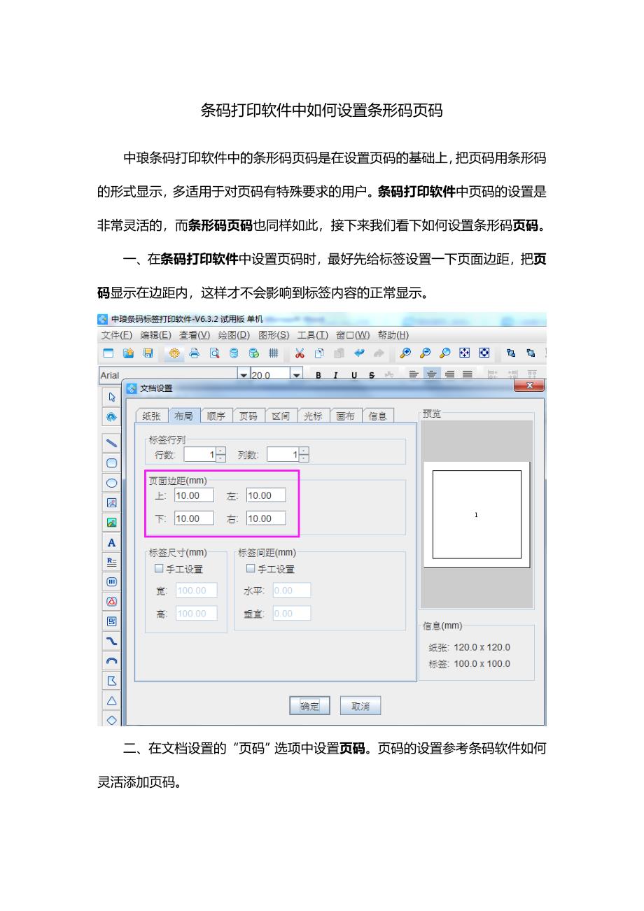 条码打印软件中如何设置条形码页码.doc_第1页