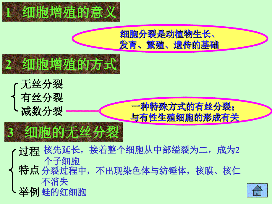 大纲版生物课件2.2_第3页