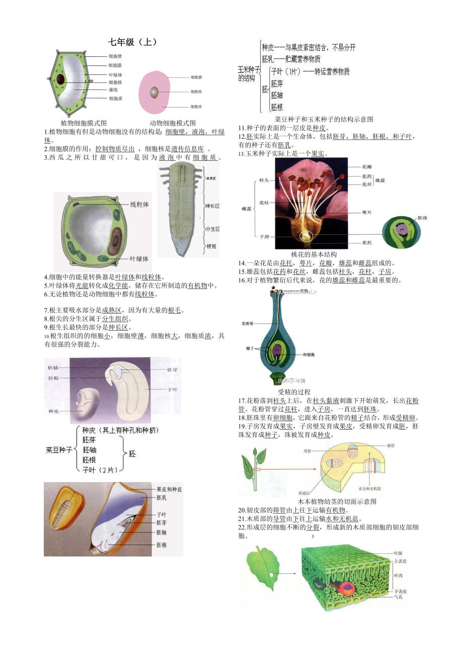 中考复习资料：初中生物图集(附题目)_第1页