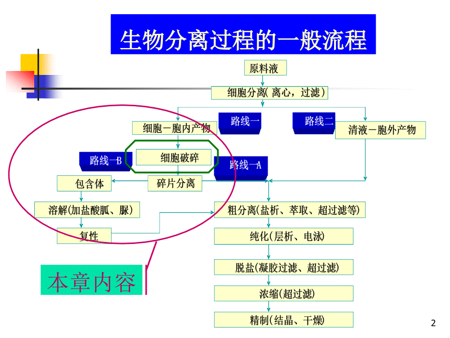 第三章细胞破碎.课件_第2页