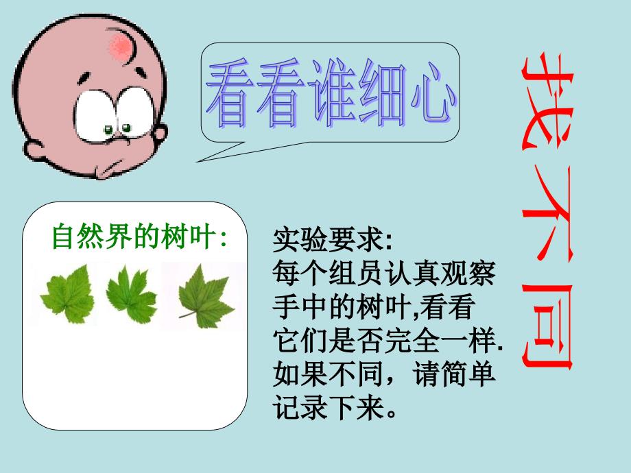 初中综合实践活动课件《人的生命的独特性_第2页