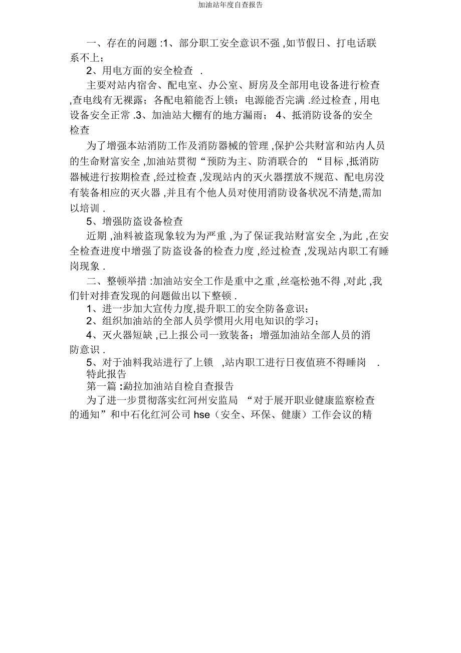 加油站年度自查报告.docx_第2页