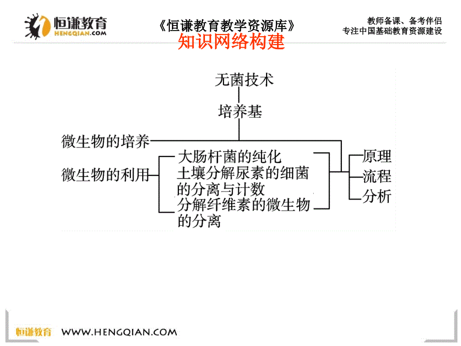 微生物的培养与应用学案精校版_第3页