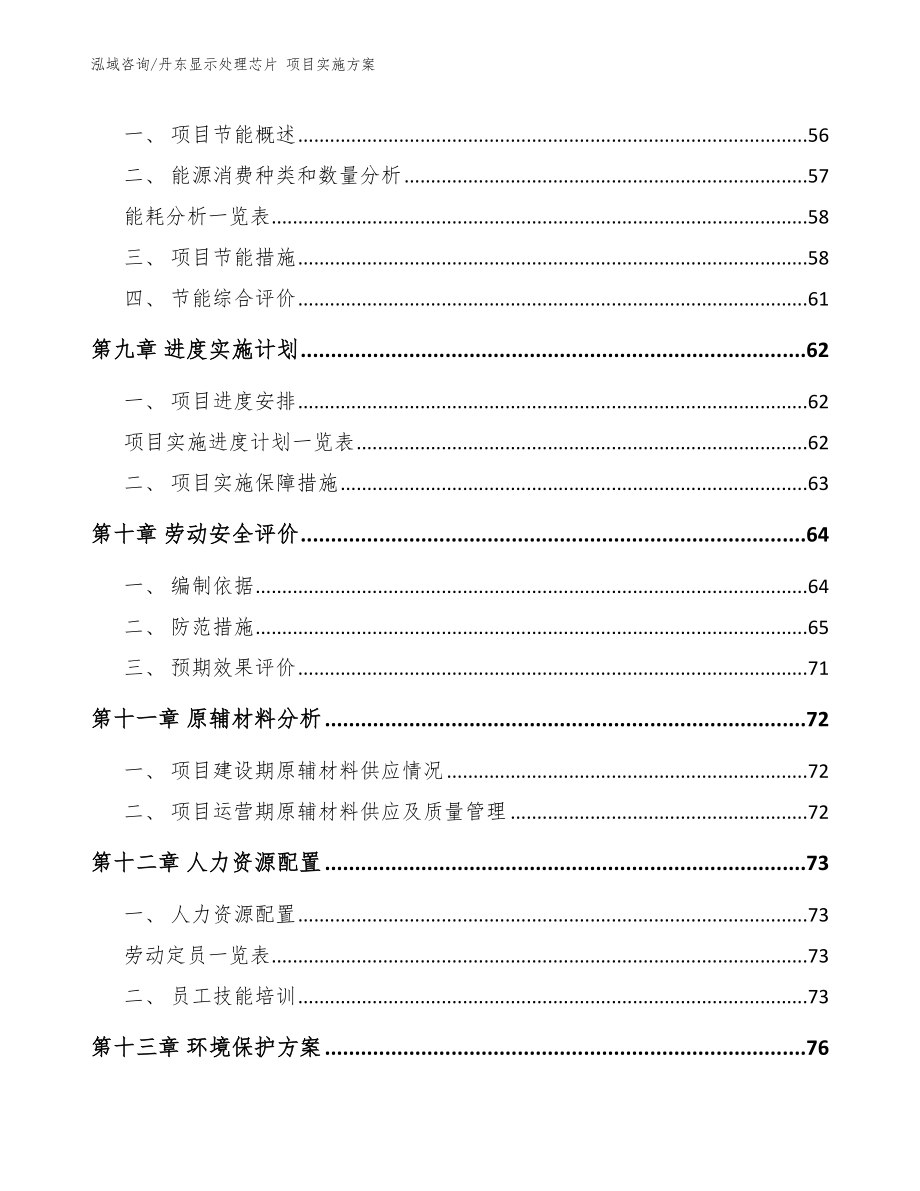 丹东显示处理芯片 项目实施方案_第3页