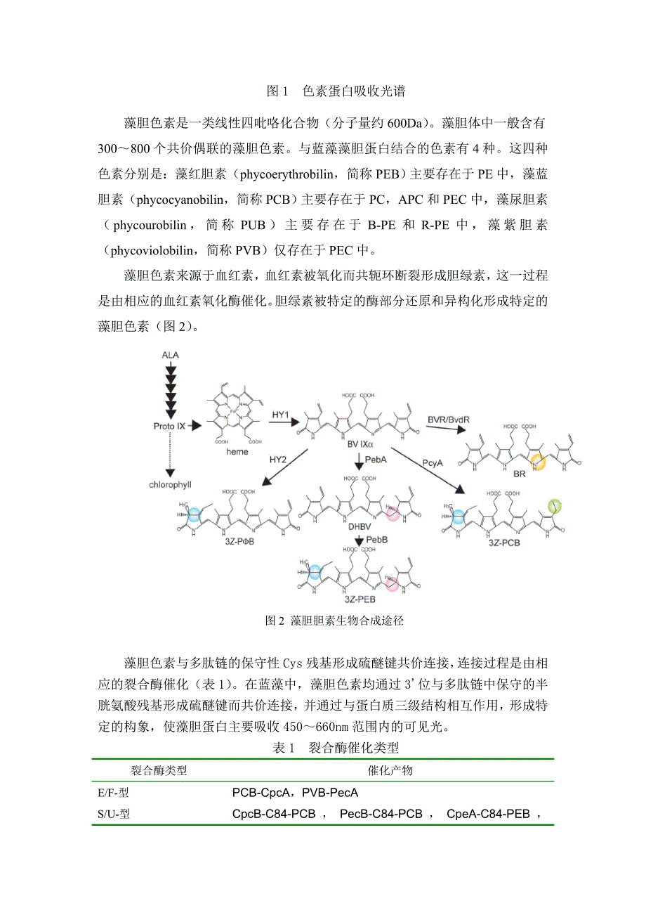 藻胆蛋白生物合成与光谱分析(教案)_第2页