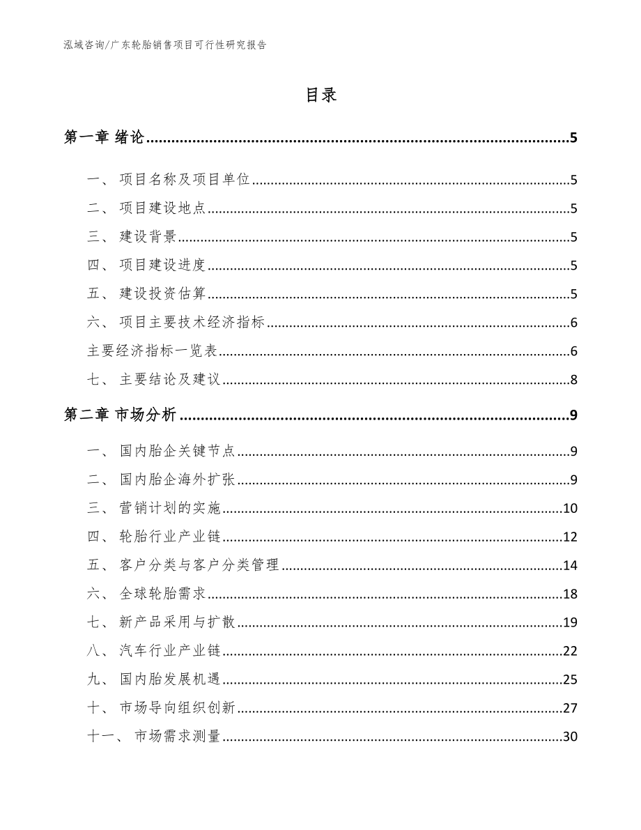 广东轮胎销售项目可行性研究报告（范文参考）_第1页