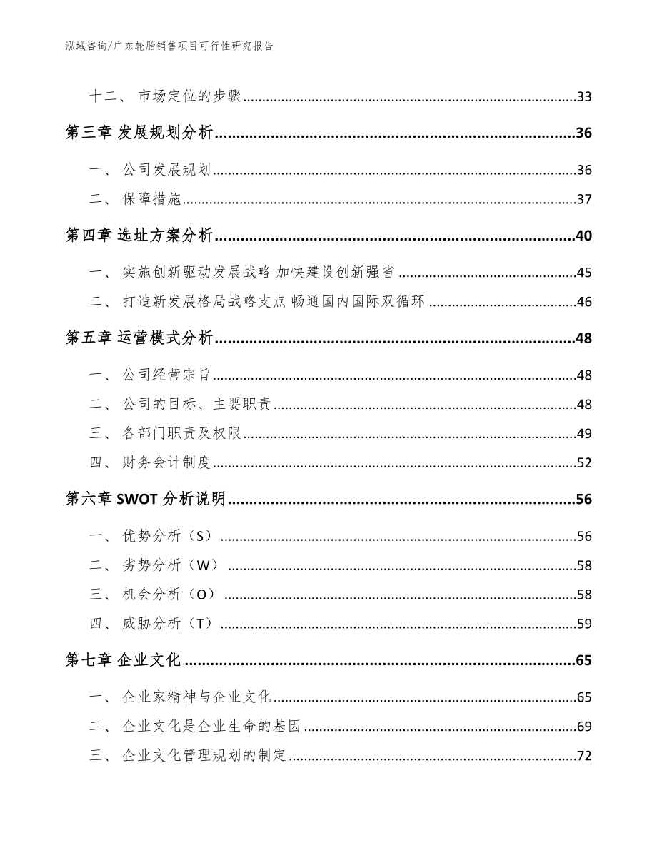 广东轮胎销售项目可行性研究报告（范文参考）_第2页