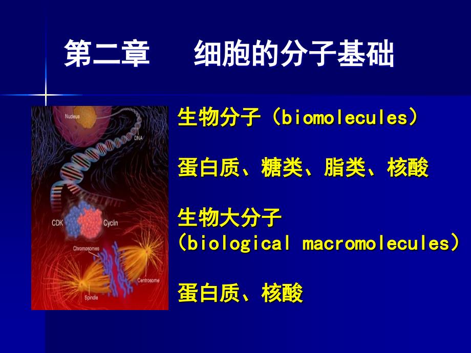 细胞的化学与分子组成.ppt_第1页