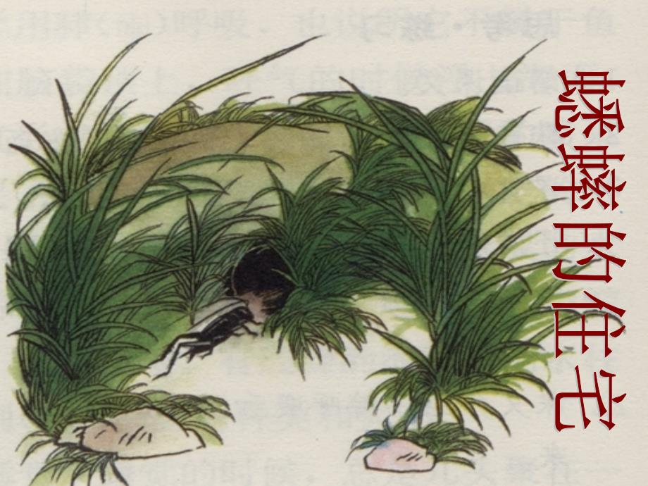 7、蟋蟀的住宅_第1页