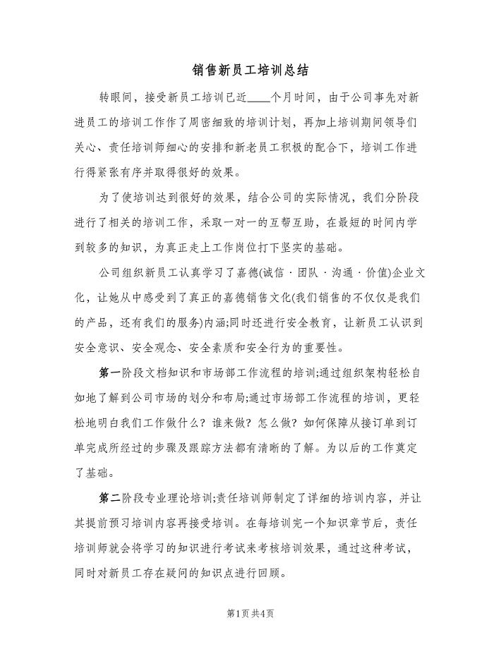 销售新员工培训总结(2篇).doc