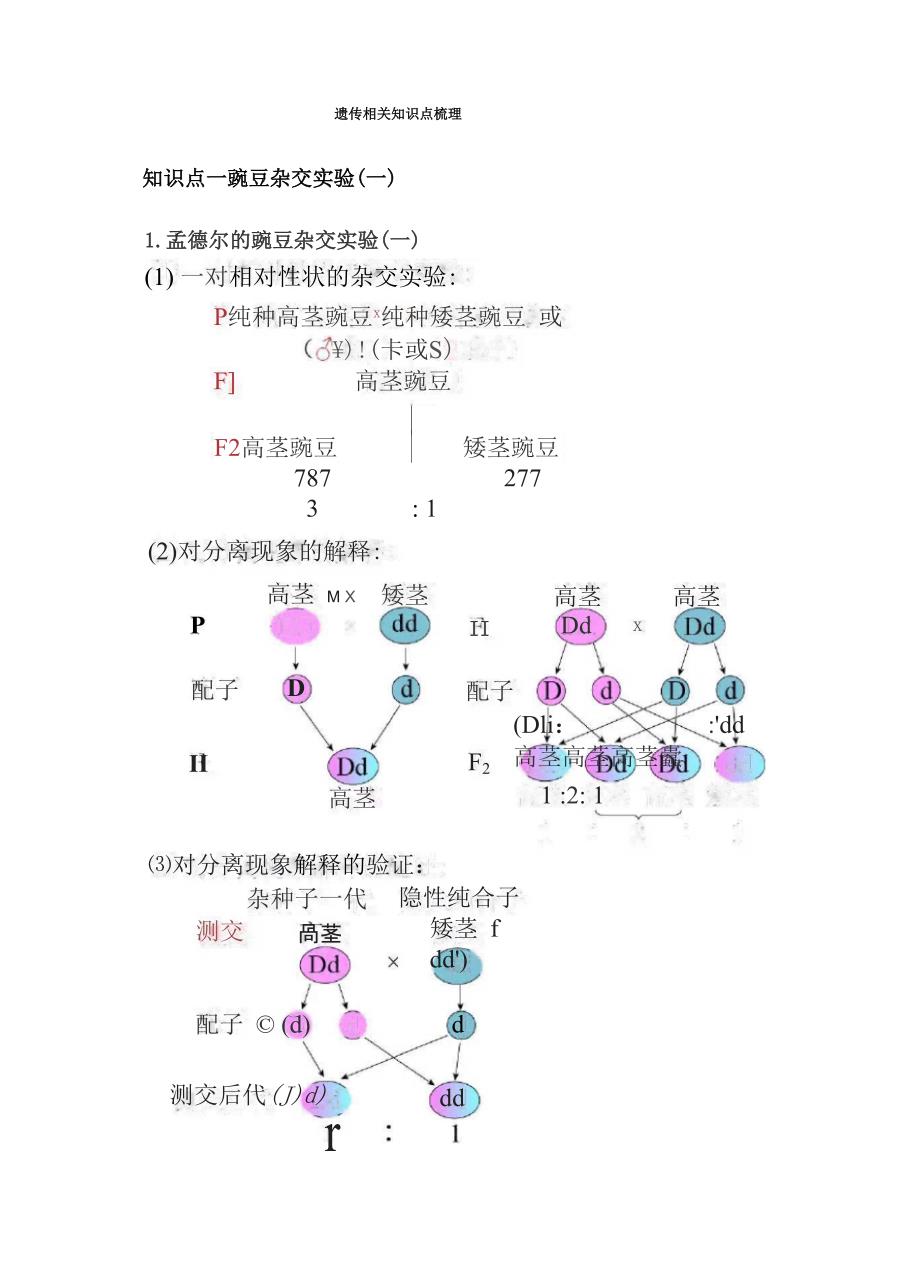 遗传相关知识点梳理_第1页