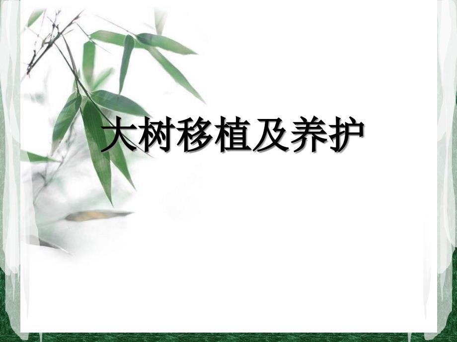 绿化工培训大树移植及养护_第1页