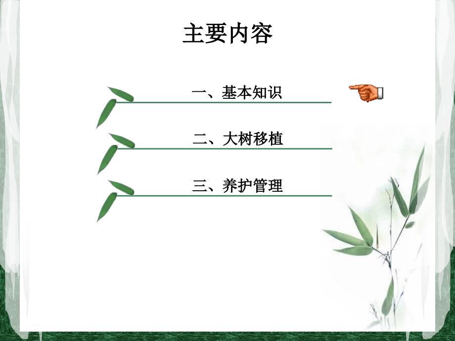 绿化工培训大树移植及养护_第2页