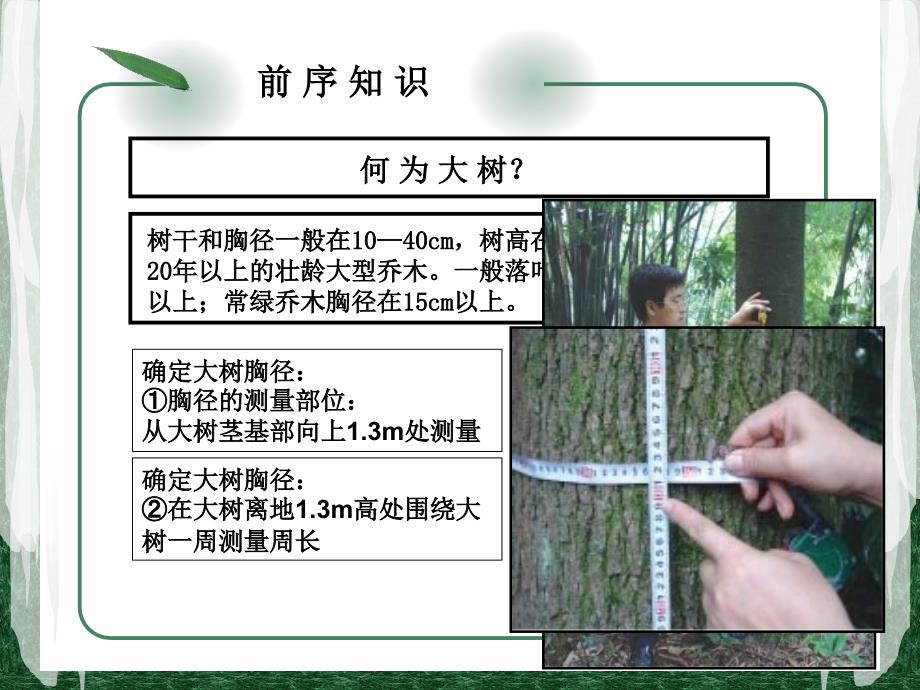 绿化工培训大树移植及养护_第3页