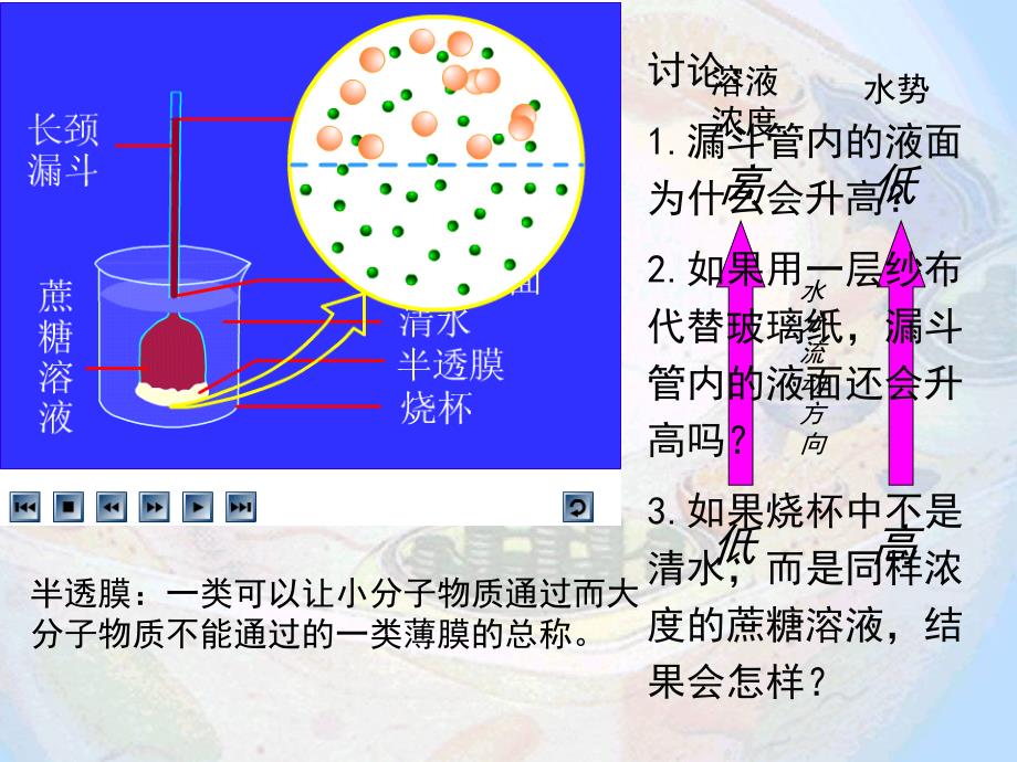 细胞的物质输入和输出_第2页