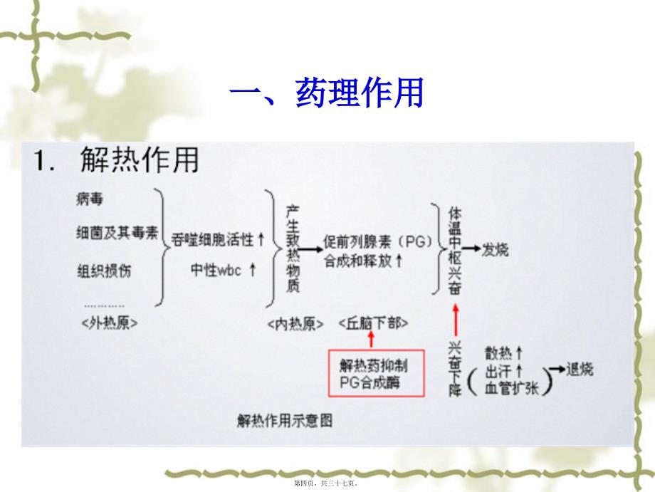 医学专题—第20章-解热镇痛抗炎药3678_第4页