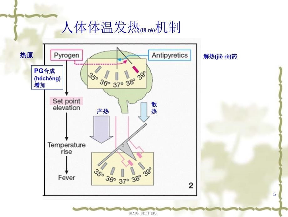 医学专题—第20章-解热镇痛抗炎药3678_第5页