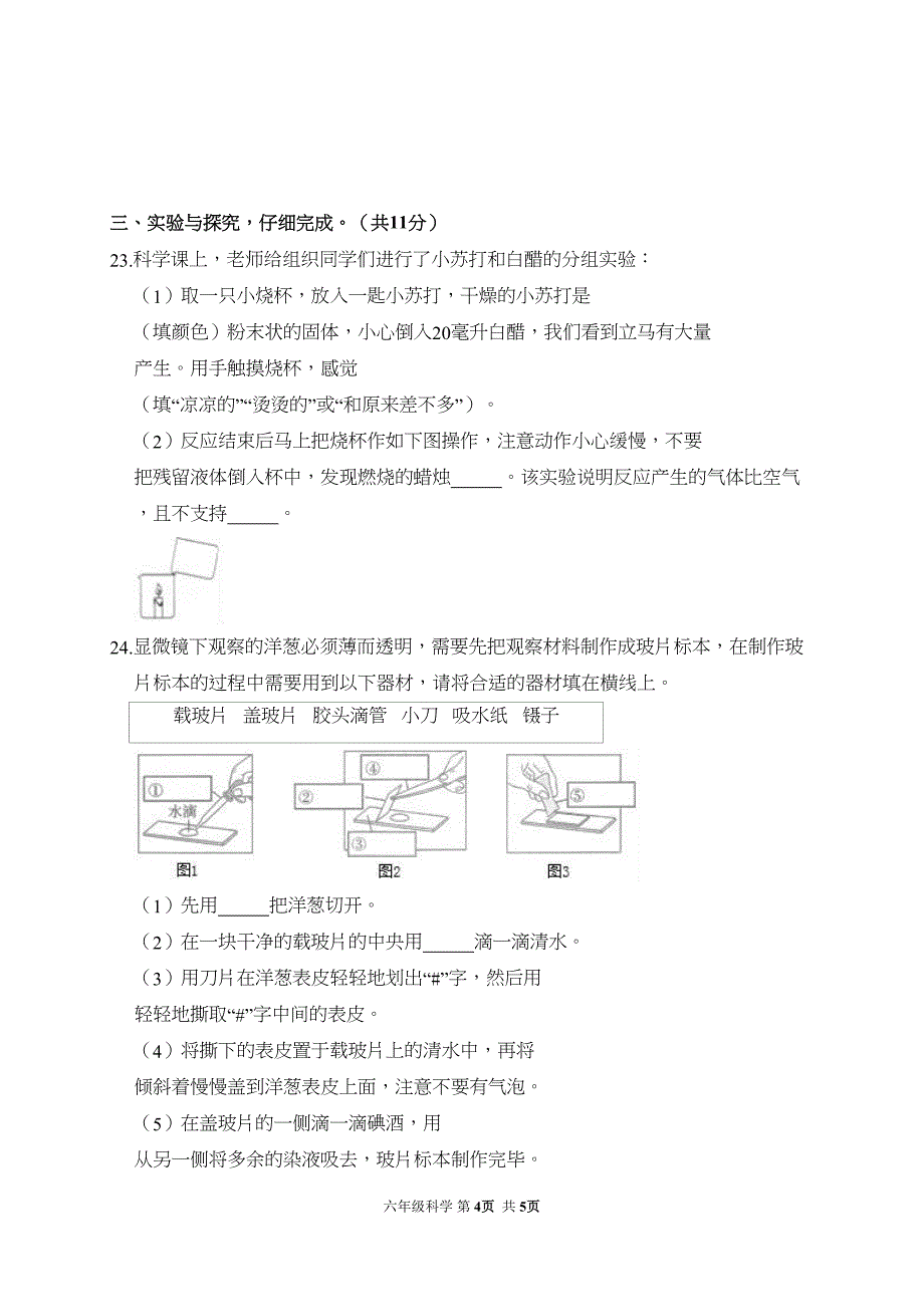 六年级下册科学试题---期中试题---教科版---含答案(DOC 5页)_第4页