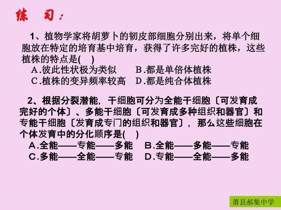 人教版教学生物选修菊花的组织培养ppt课件_第5页