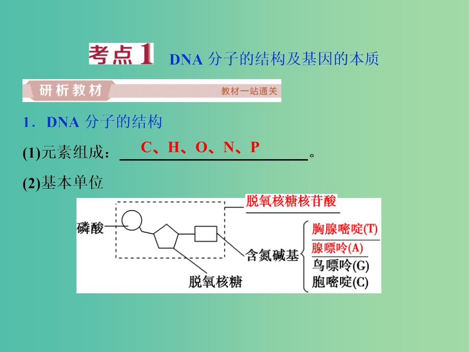 2019届高考生物一轮复习第六单元遗传的物质基础第20讲DNA分子的结构DNA的复制基因是有遗传效应的DNA片段课件.ppt_第3页