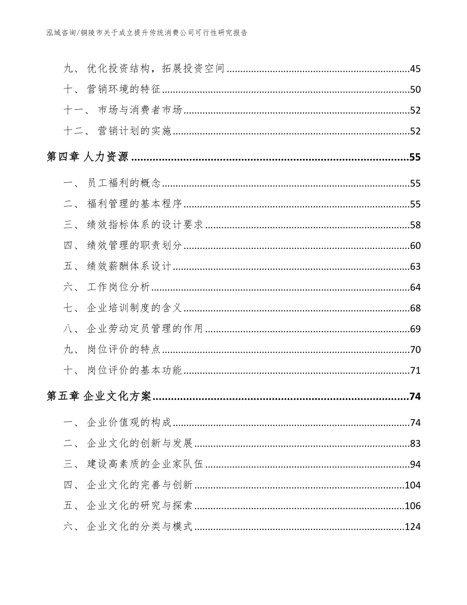 铜陵市关于成立提升传统消费公司可行性研究报告_第3页